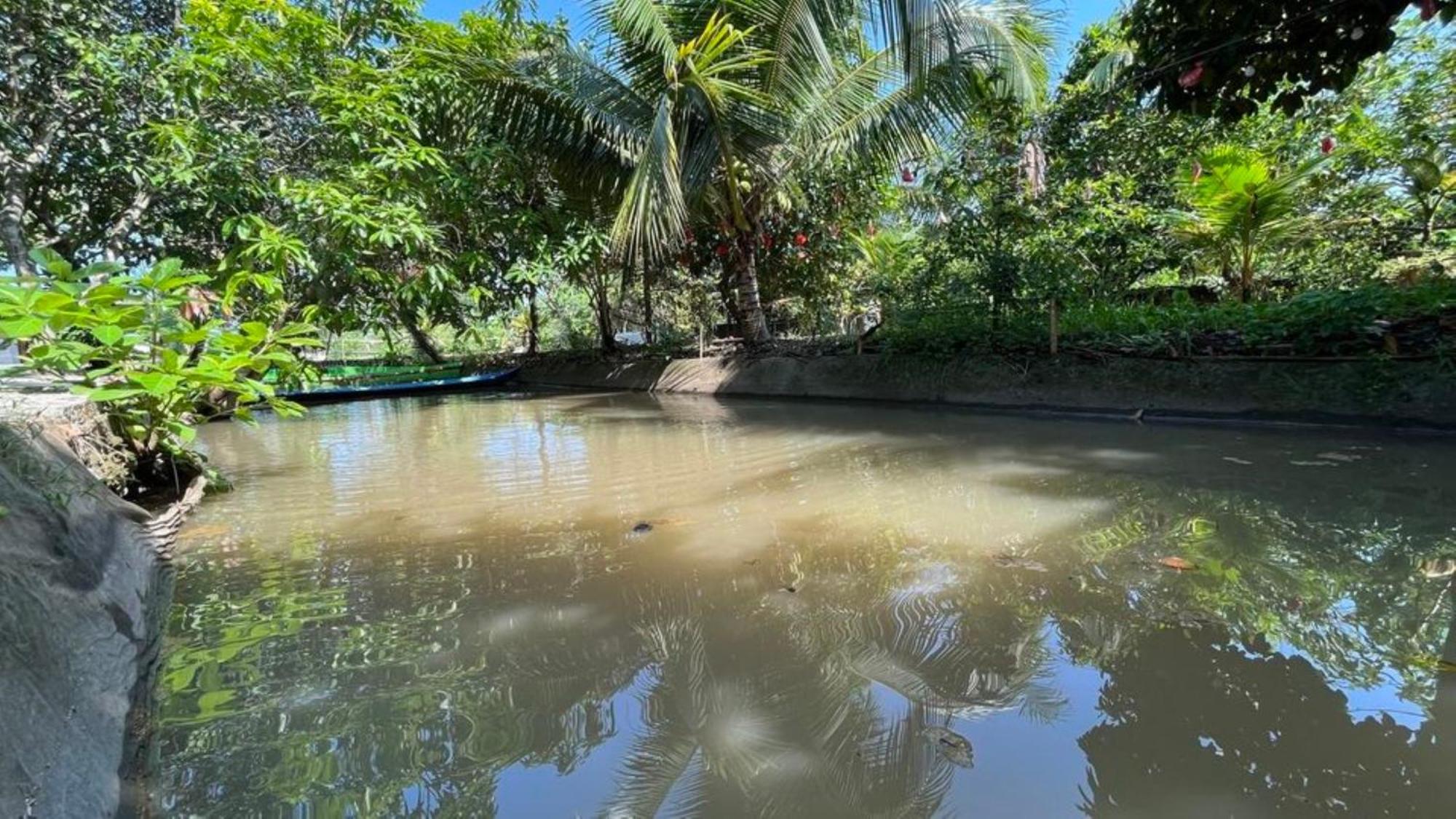 Tay Do Homestay Can Tho Cai Rang Luaran gambar